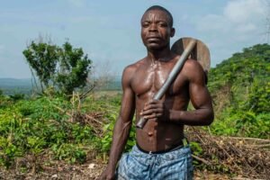 enhance growth with digital tools