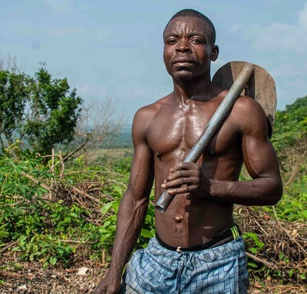 enhance your digital tools